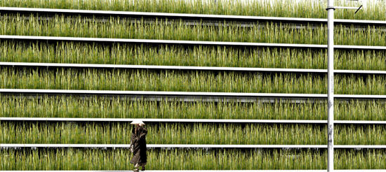 shinjuku gardens tokyo japan 1