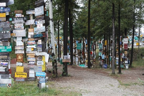 sign post forest 11
