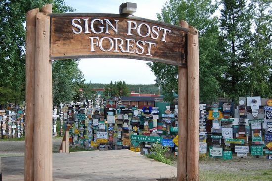 sign post forest 1