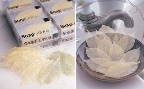 Soap Leaf