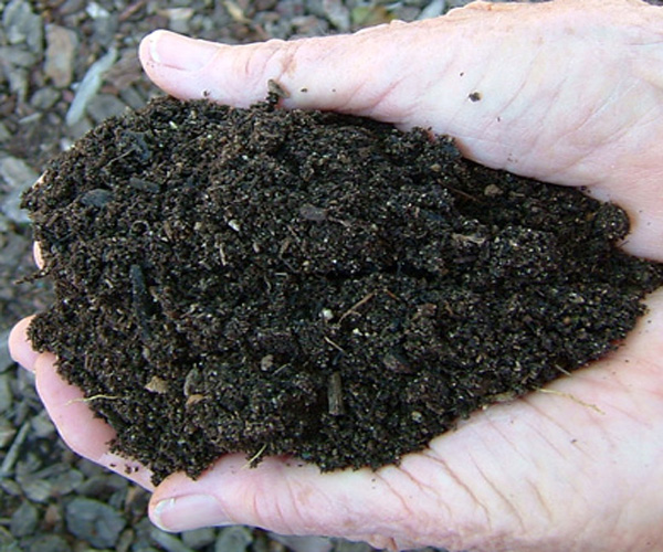 soil mix