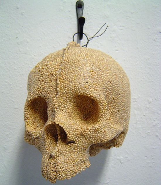 spice skulls 3