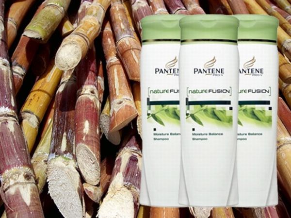 Sugarcane Plastic