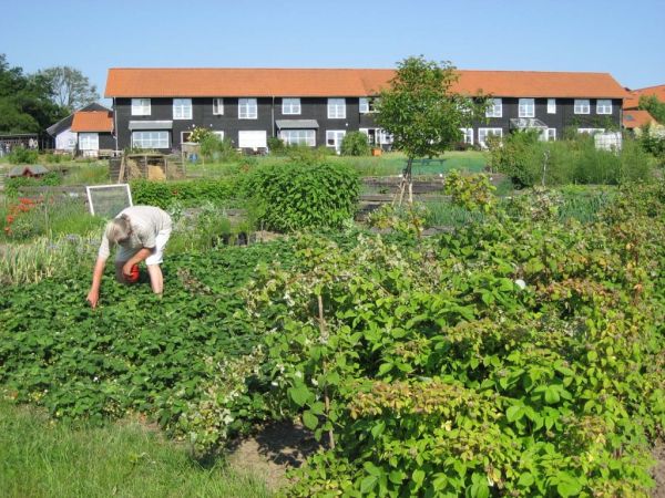 Sustainable Gardening