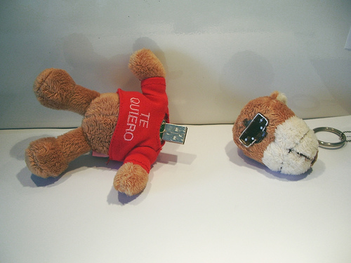 Teddy Bear Embedded in USB Mod