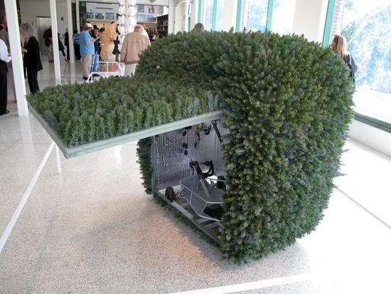 terrestrial shrub rover 1