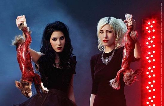 the veronicas