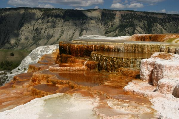 The Mammoth Spring