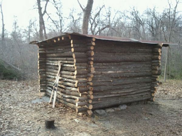 timber made cabin 2