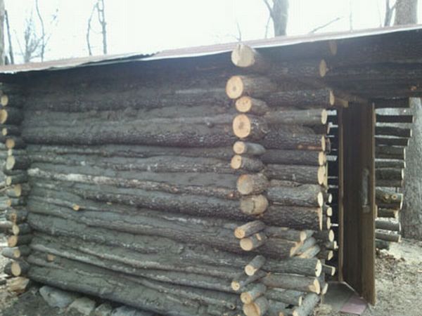 timber made cabin 4