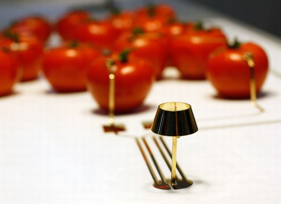 tomato powered lamp