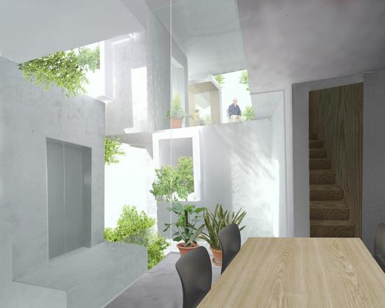 tree ness house connects organic nature with resid
