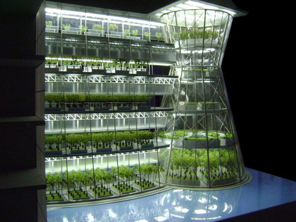 Vertical farming in building