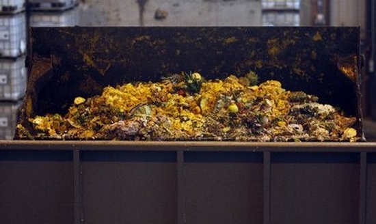 waste food fertilizer1