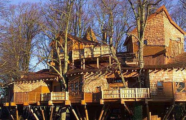 Worldâs largest treehouse