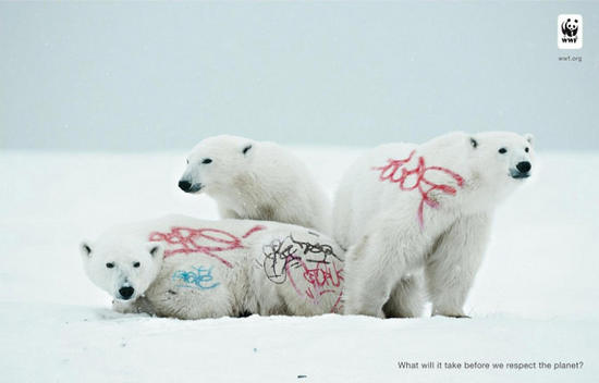 wwf graffiti polar bear