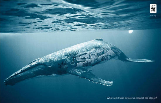 wwf graffiti whale