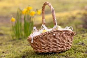 Easter-basket-gardeners