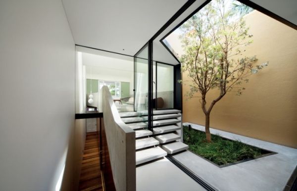 Living-space-with-an-interesting-use-of-skylights-and-indoor-green