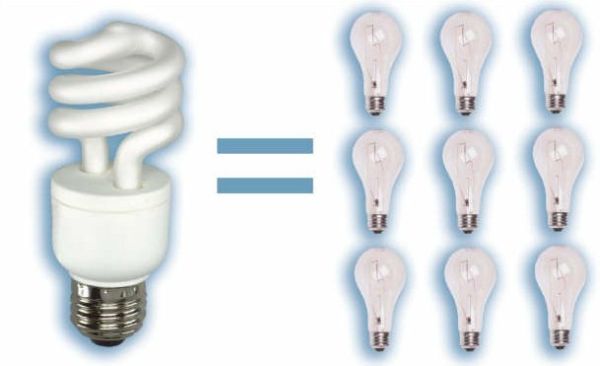 cfl-light-bulbs-mercury