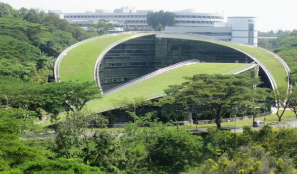 verdant-green-eco-buildings-using-plants-nanyang-technological-university