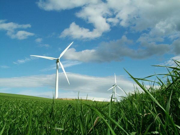 econnect_wind_farm