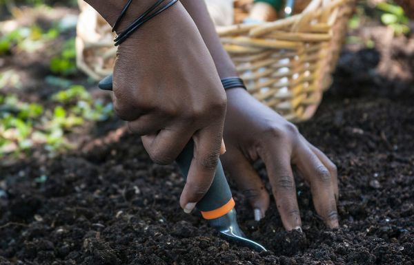 Hands in the Soil