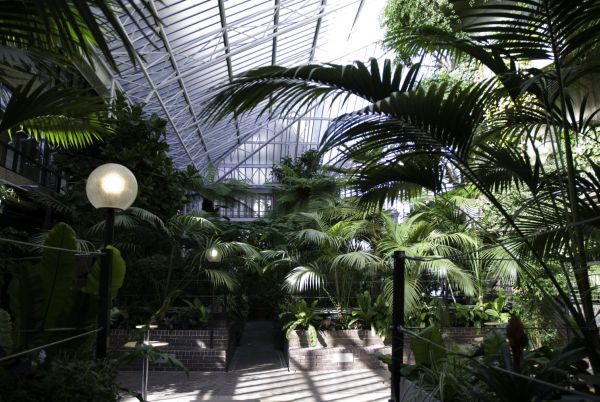 Barbican Conservatory