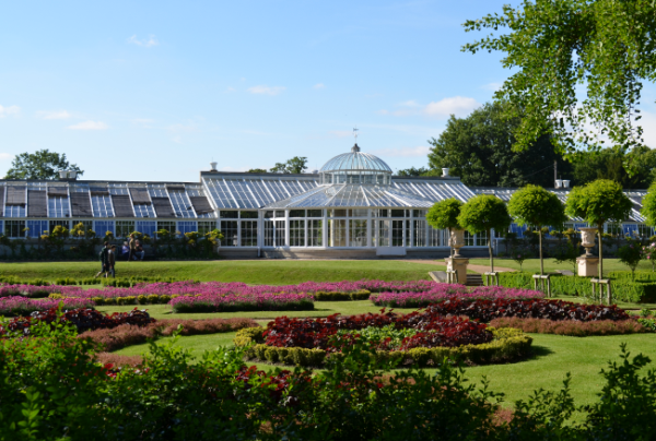 Chiswick House glasshouse garden