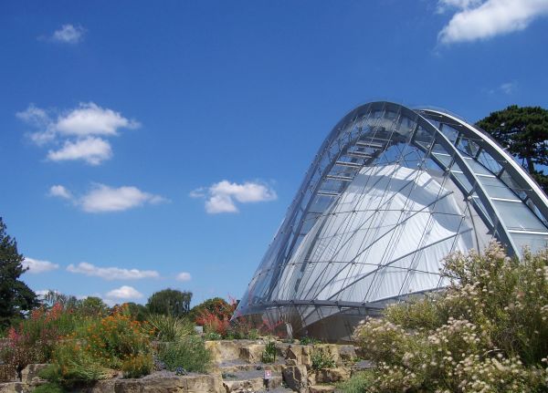 Davies Alpine House