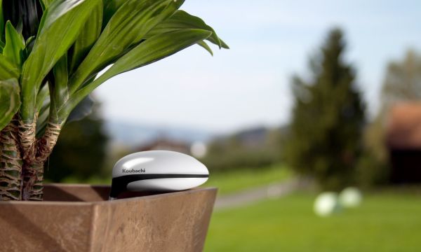 Koubachi Wi-Fi plant sensor