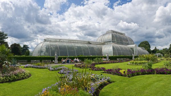 Palm House