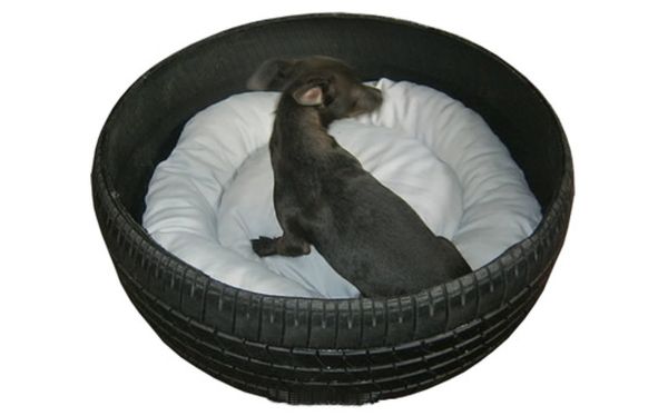 Recycled Old tire as bed for pet