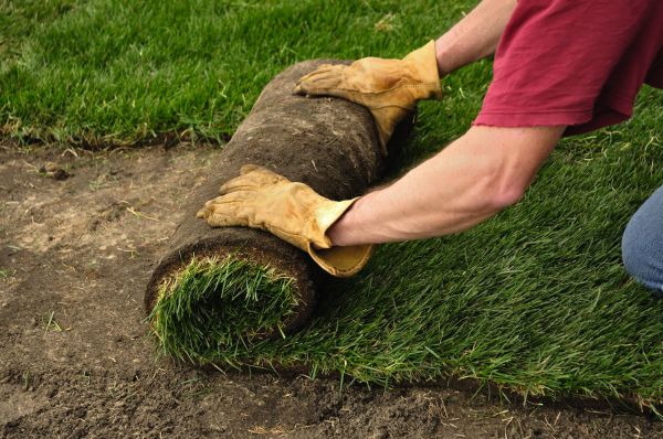 Remove the old lawn