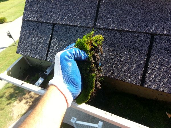 gutter cleaning