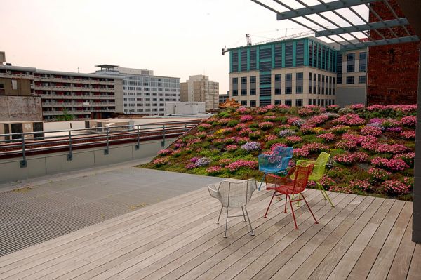 urban green roof