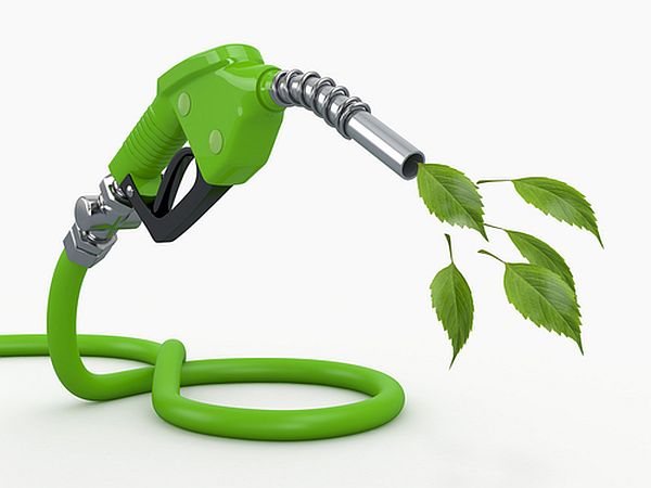 Biofuels Help Us Get Rid of Oil