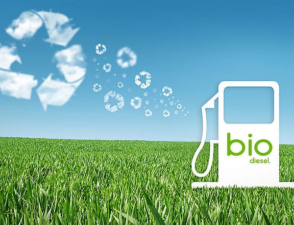 biodiesel_4