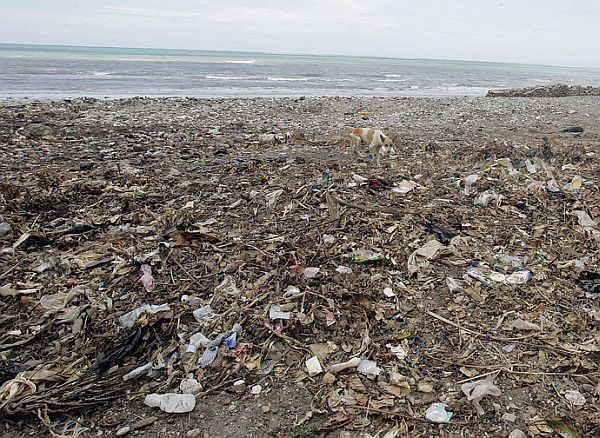 Haiti's Garbage Beach