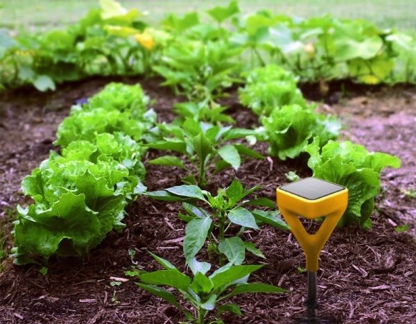 Edyn smart garden system