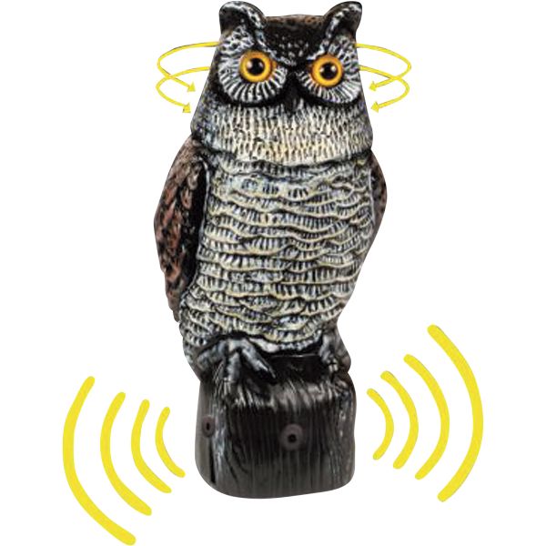 Garden Defense Electronic Owl