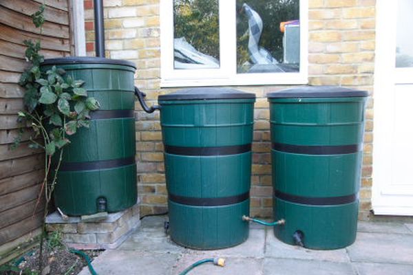 Harvest rainwater in containers