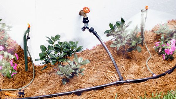 Installing drip irrigation systems