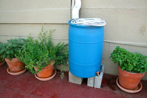 rainwater harvesting in containers