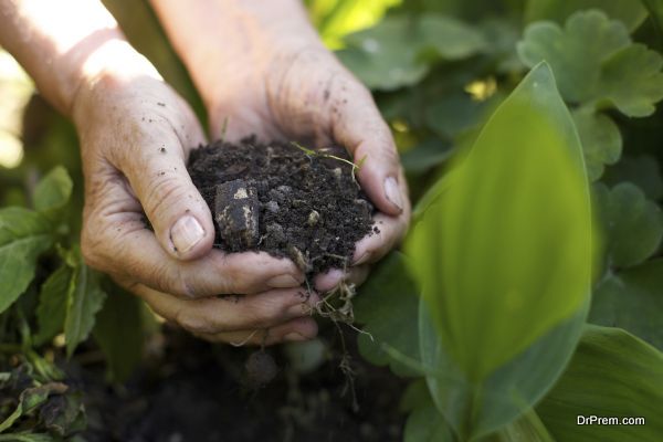 manure in hand