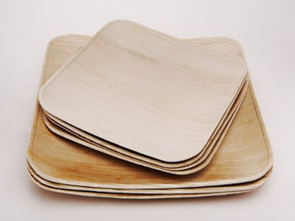 recyclable paper plates