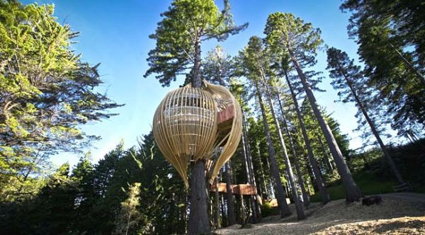 Treehouse Restaurant, New Zealand