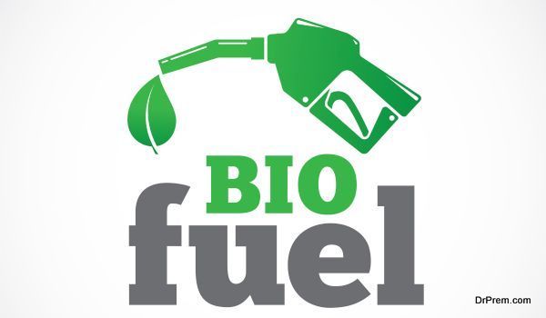 Bio fuel vector symbol icon or logo isolated
