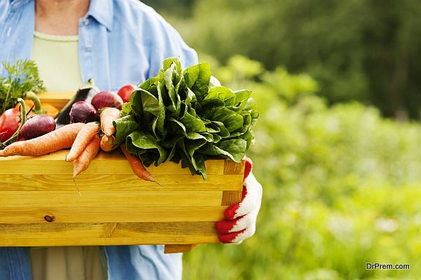 Senior woman holding box with vegetables