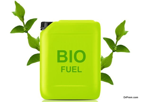 Biofuel  (4)